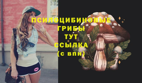 ECSTASY Армянск
