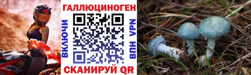 Галлюциногенные грибы Cubensis  закладки  Удомля 
